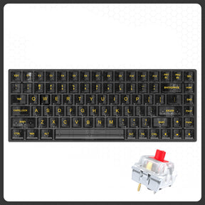 Transparent Hot-swappable RGB Gaming Wired Mechanical Keyboard